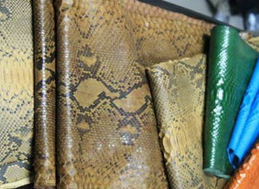 Hướng dẫn kỹ thuật thuộc da trăn