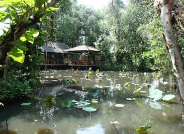 Giới thiệu Cá Sấu Hoa Cà