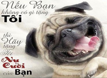 “Rụng rốn” cùng những câu chúc sinh nhật hài hước nhất Vịnh Bắc Bộ