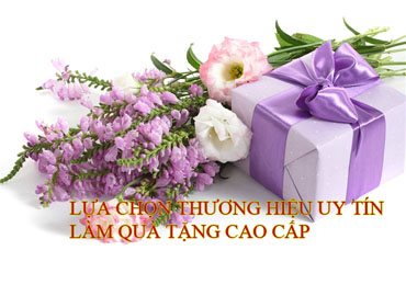 Nên chọn Cá sấu Hoa Cà làm quà tặng cao cấp vì sao?