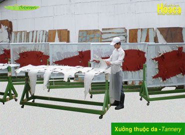 Vì sao da Cá Sấu Hoa Cà thuộc da đẹp và chất lượng hơn da cơ sở nhỏ lẻ?