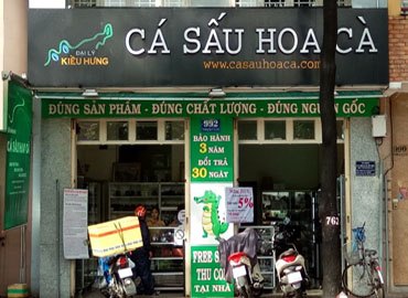 Cá Sấu Hoa Cà ở đâu?