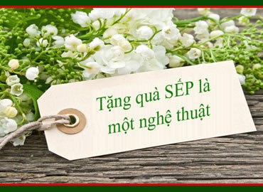 Những món quà tặng sinh nhật sếp nữ, sếp nam ý nghĩa nhất 2026