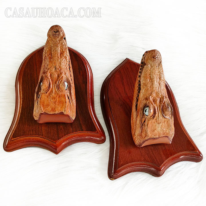 Cam kết hình thật 100%
